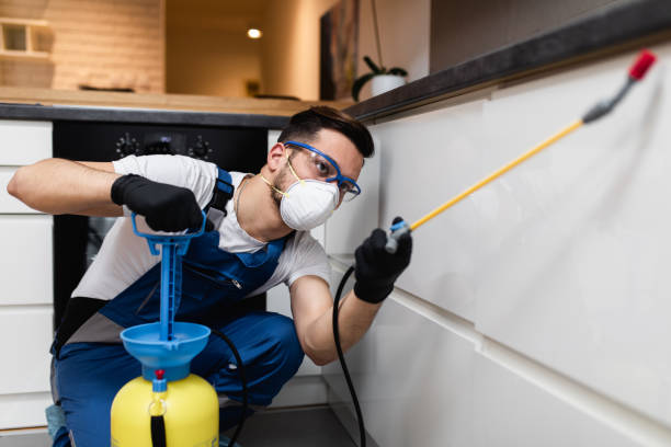 Reliable Fox River Grove, IL Pest Control Solutions
