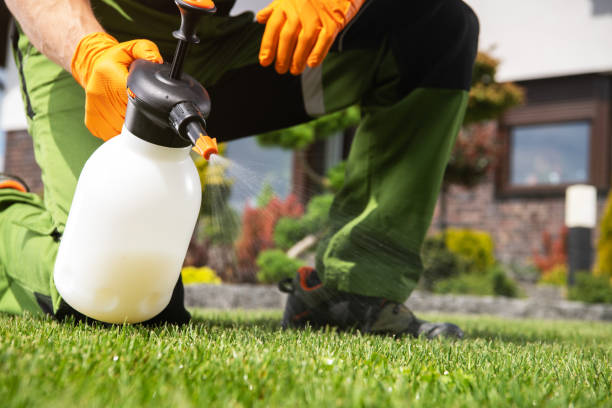 Best Emergency Pest Control  in Fox River Grove, IL