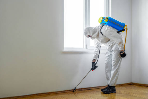 Wasp Removal Services in Fox River Grove, IL