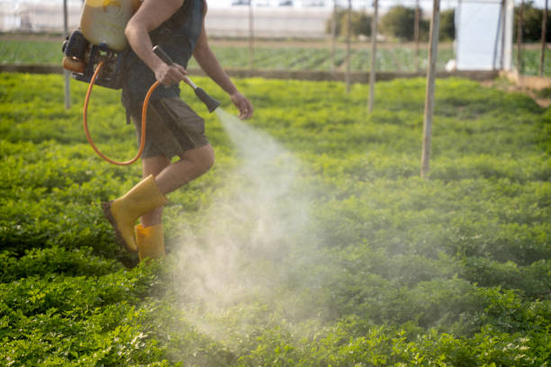 Best Pest Removal Services  in Fox River Grove, IL