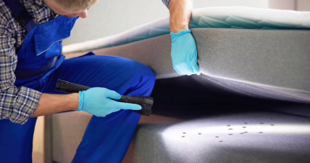 Professional Pest Control in Fox River Grove, IL