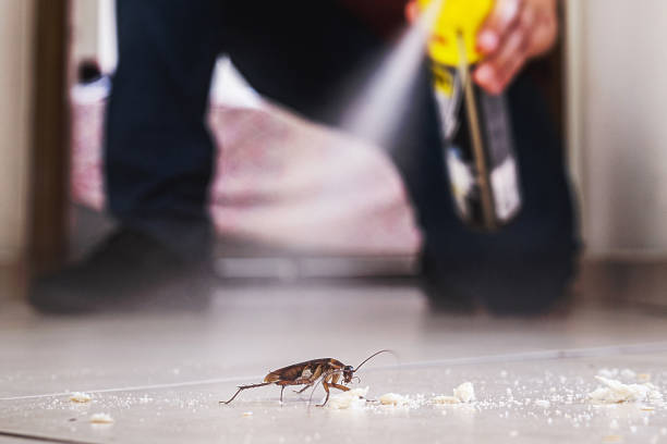 Best Bed Bug Extermination  in Fox River Grove, IL
