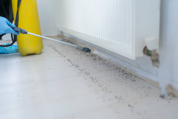 Best Pest Control Near Me  in Fox River Grove, IL