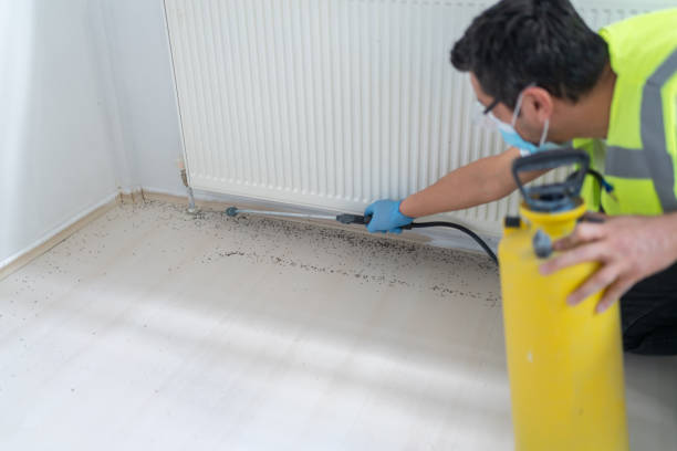 Pest Control for Restaurants in Fox River Grove, IL